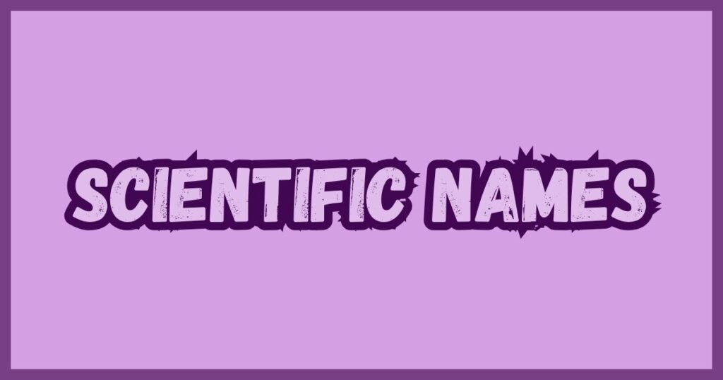 Scientific Names