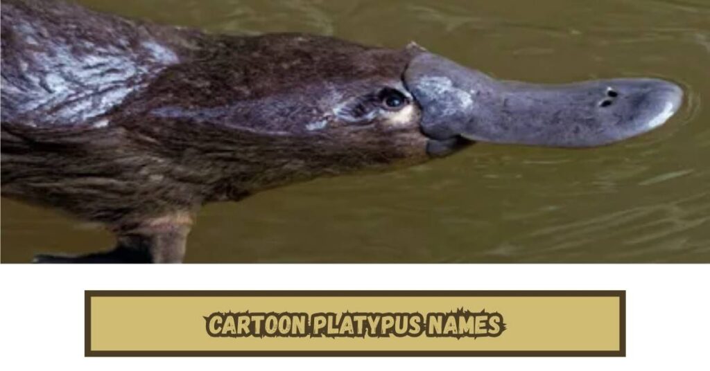 Cartoon Platypus Names