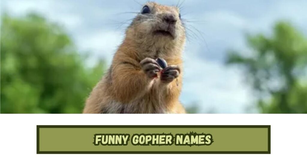 Funny Gopher Names