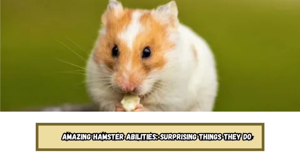 Amazing Hamster Abilities: Surprising Things They Do