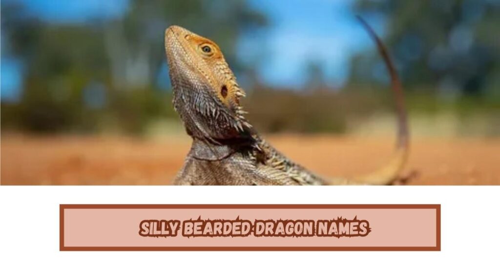 Silly Bearded Dragon Names