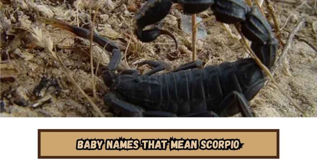 Baby Names That Mean Scorpio