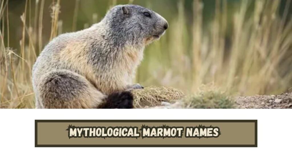Mythological Marmot Names 