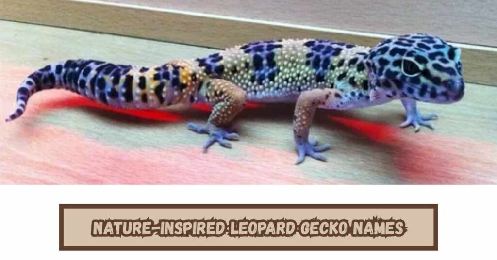 Nature-Inspired Leopard Gecko Names