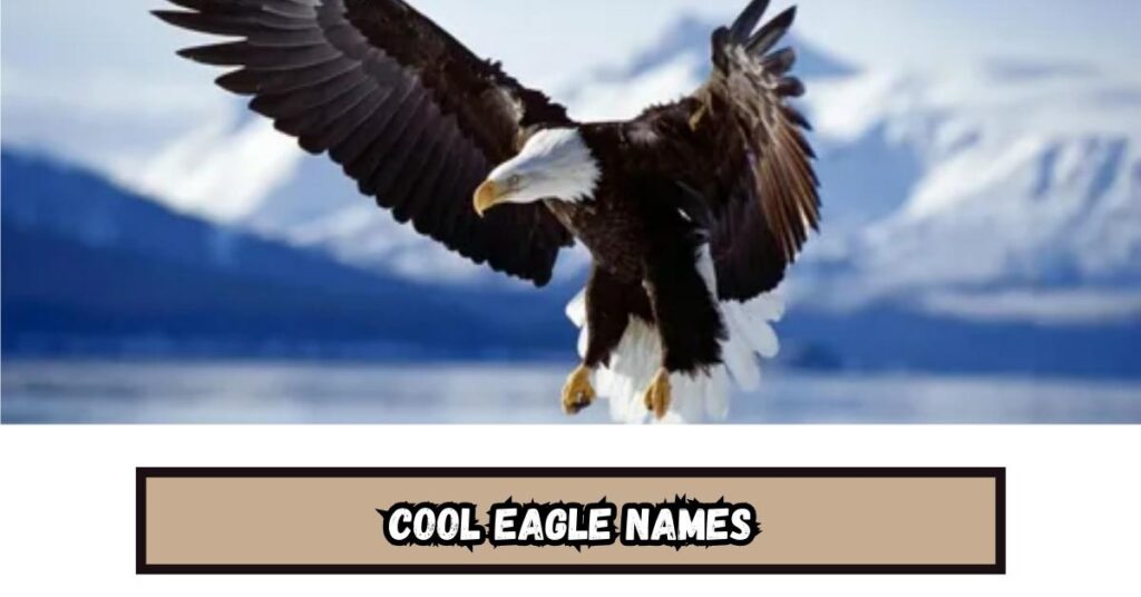 Cool Eagle Names