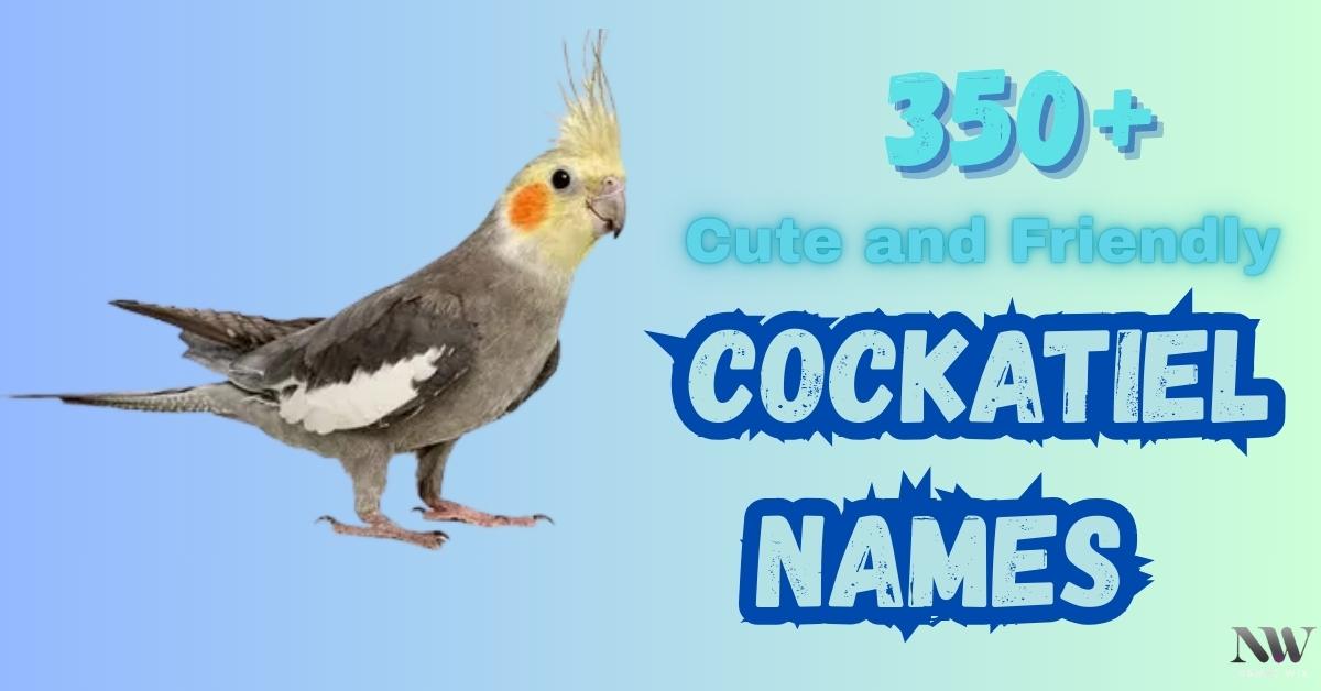 Cockatiel Names
