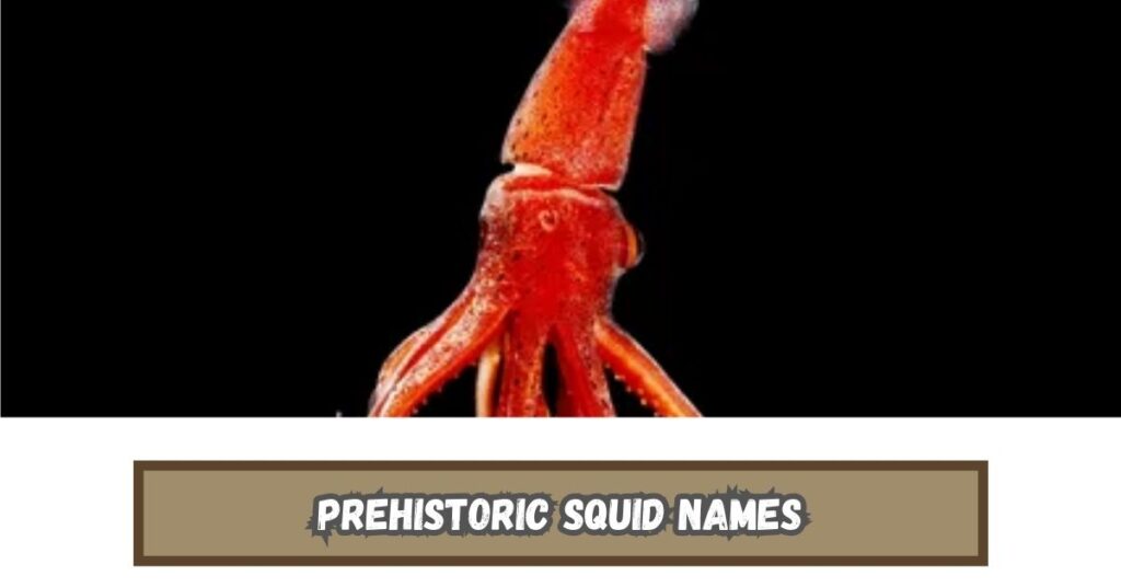Prehistoric Squid Names