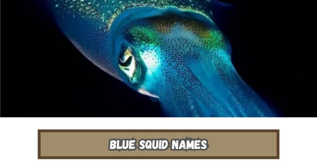 Blue Squid Names
