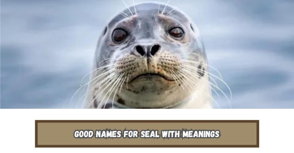 Good Names for Seal with Meanings