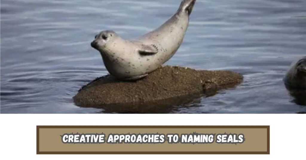 Creative Approaches to Naming Seals
