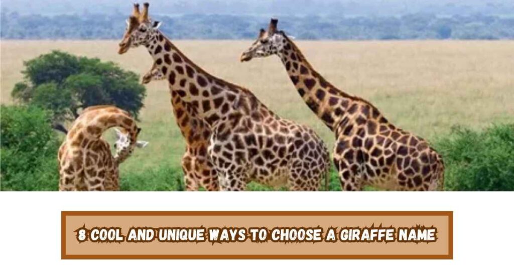 8 Cool and Unique Ways to Choose a Giraffe Name