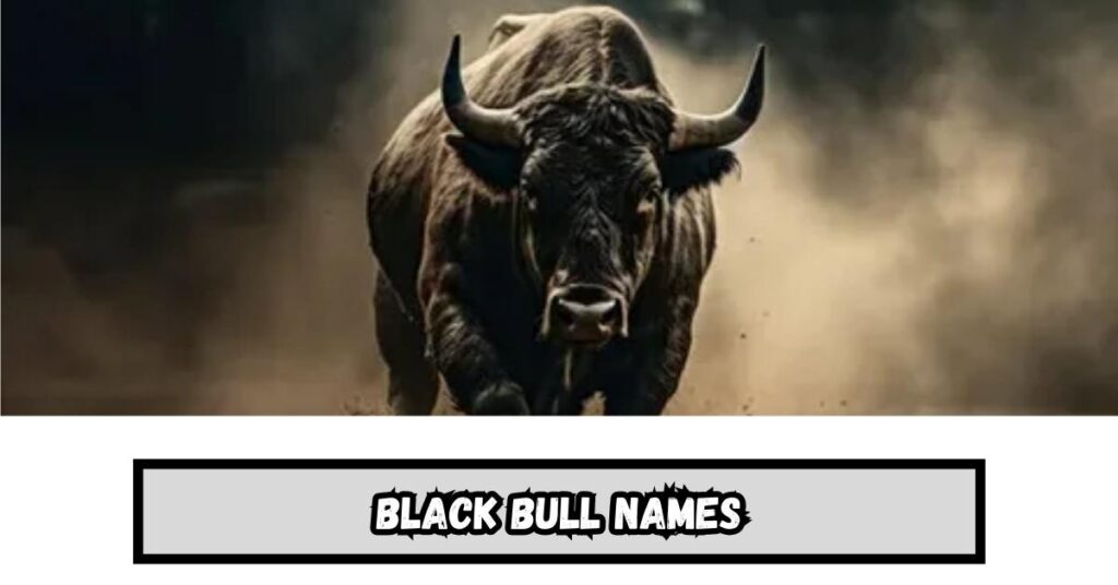 Black Bull Names