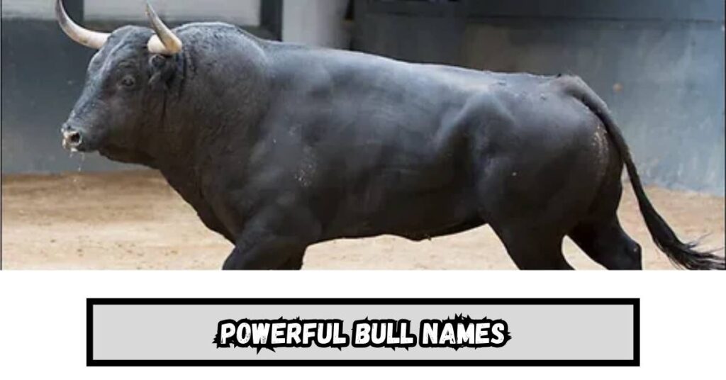 Powerful Bull Names