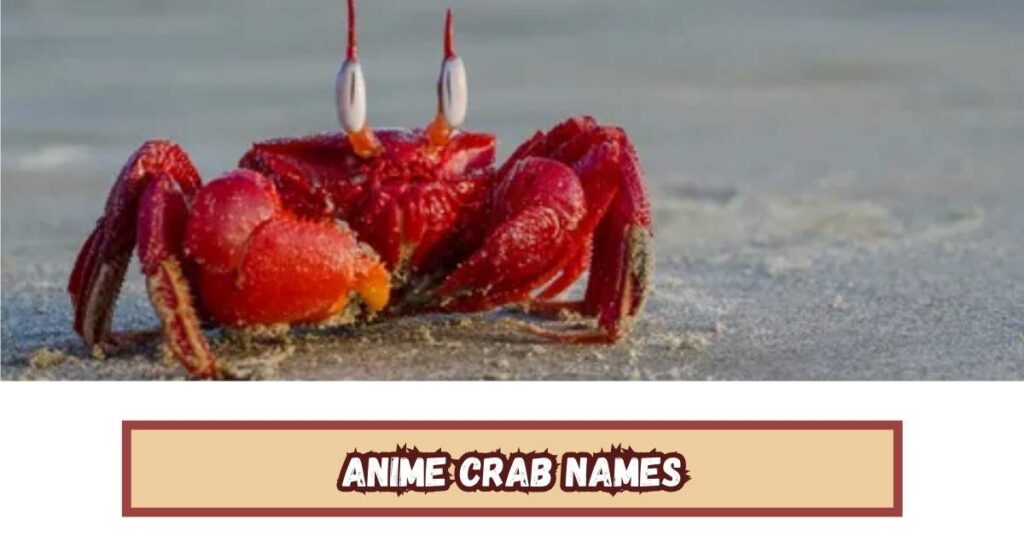 Anime Crab Names