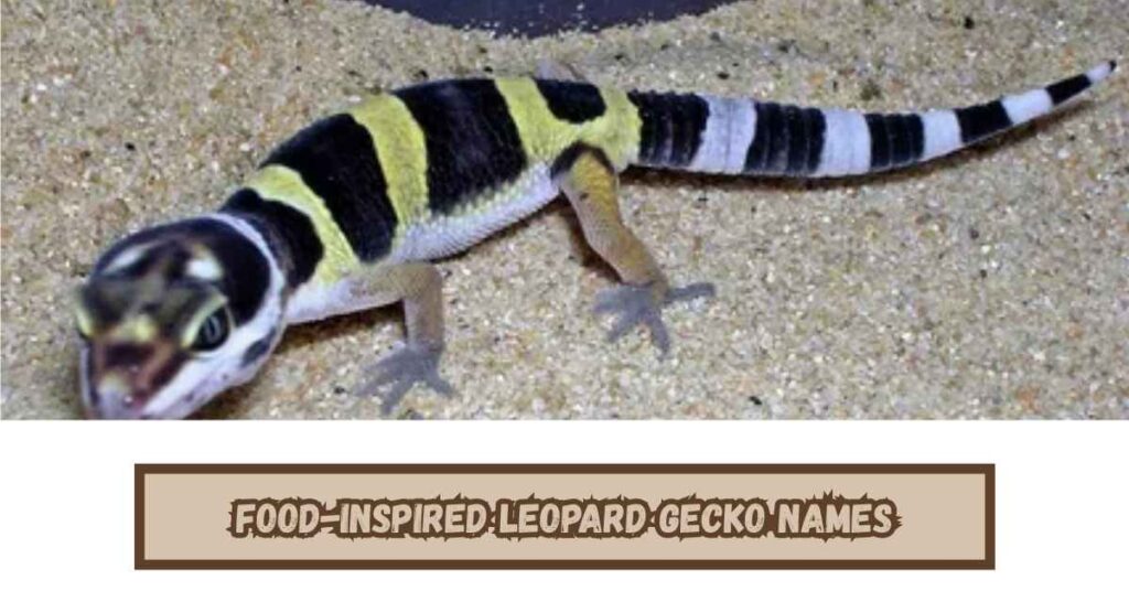 Food-Inspired Leopard Gecko Names