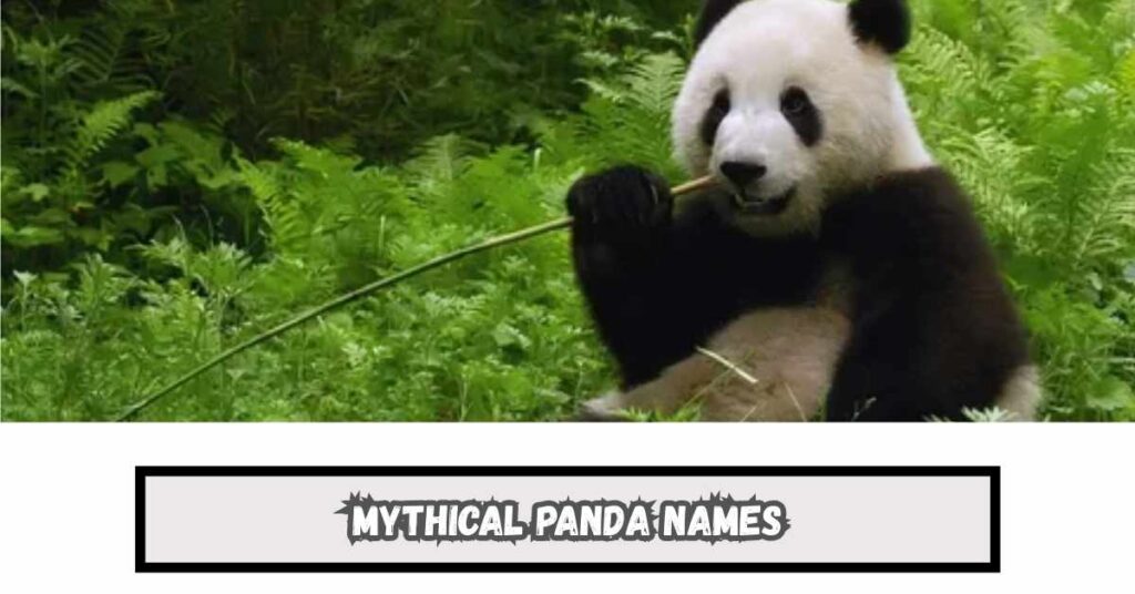 Mythical Panda Names