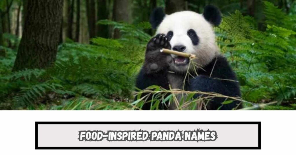 Food-Inspired Panda Names