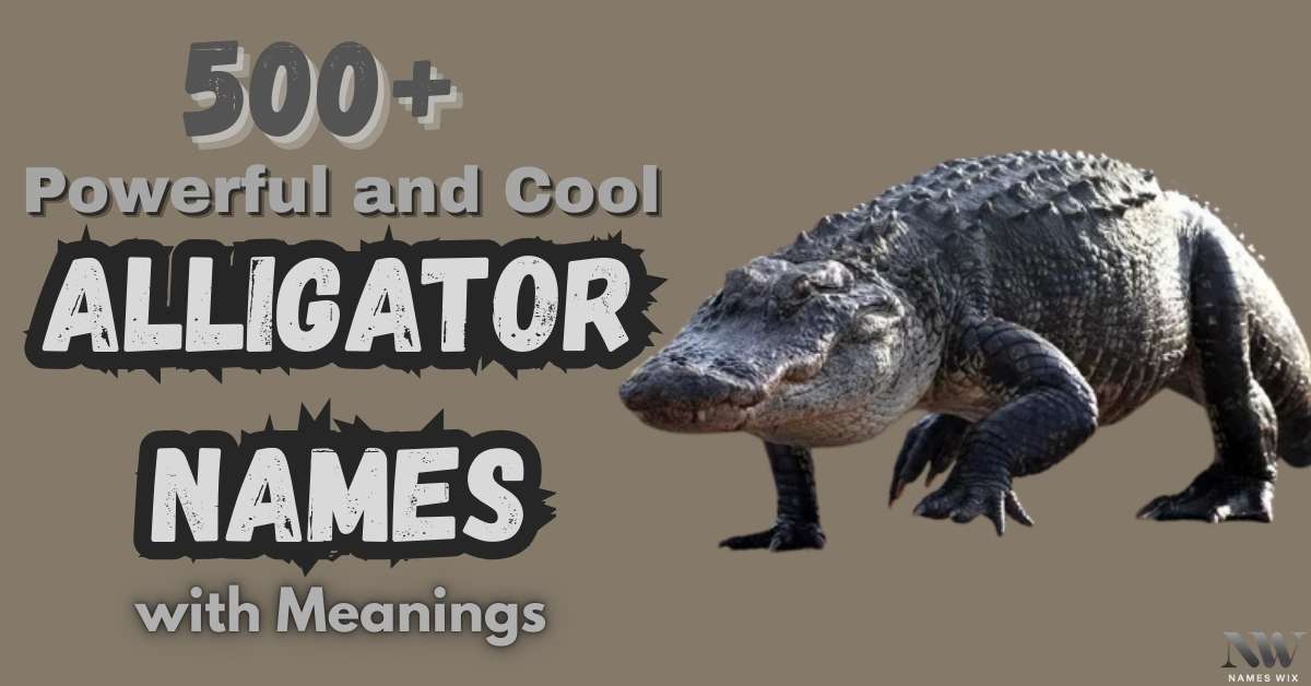 Alligator Names