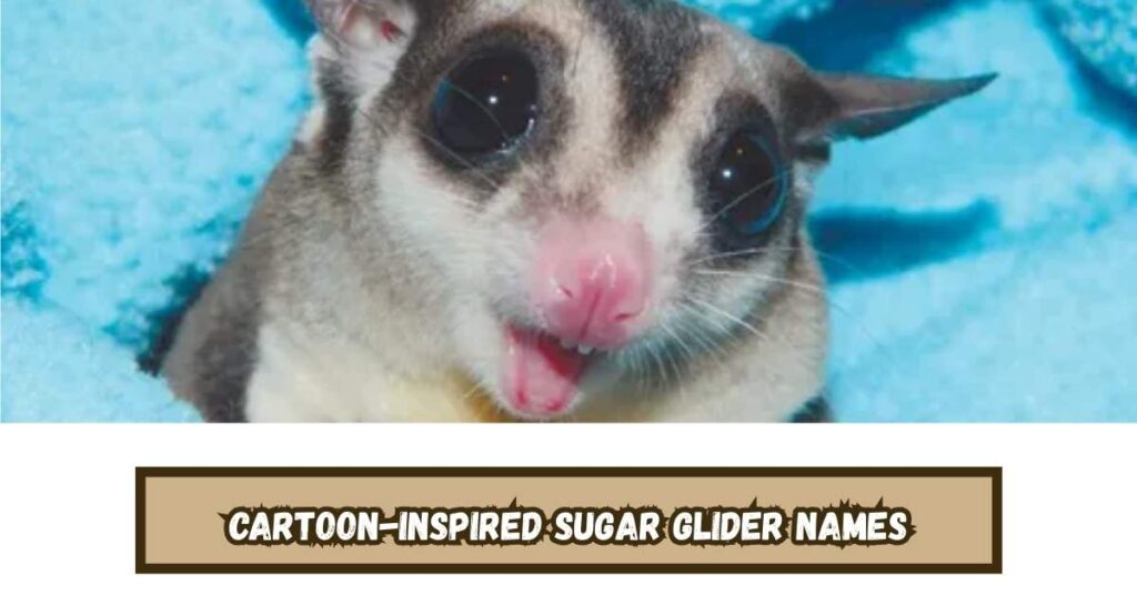 Cartoon-Inspired Sugar Glider Names