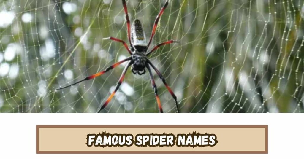 Famous Spider Names