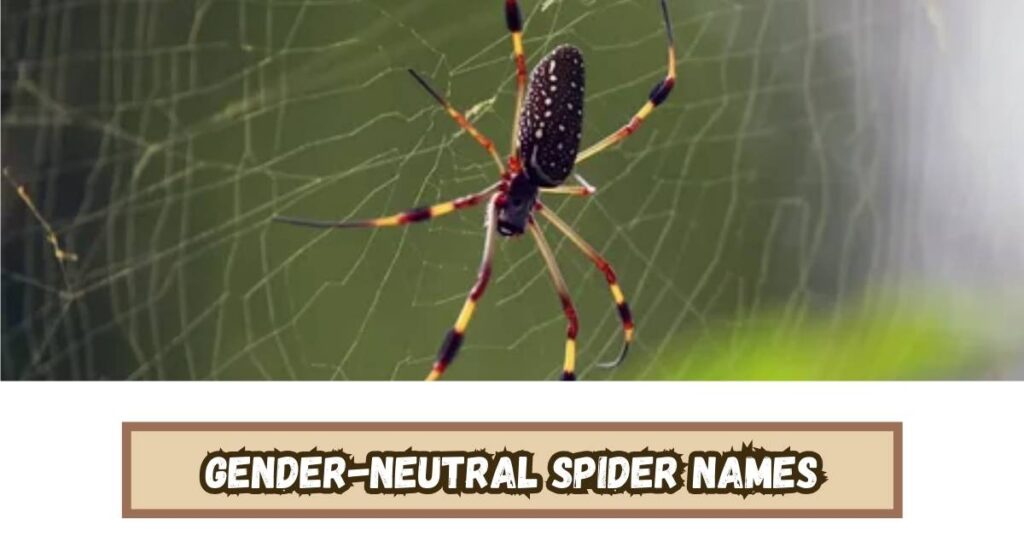 Gender-Neutral Spider Names