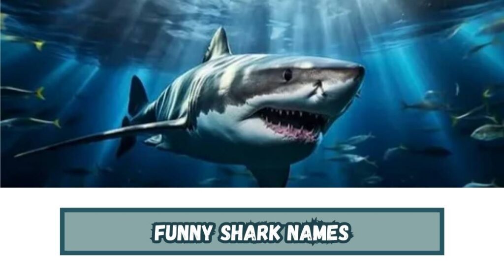 Funny Shark Names