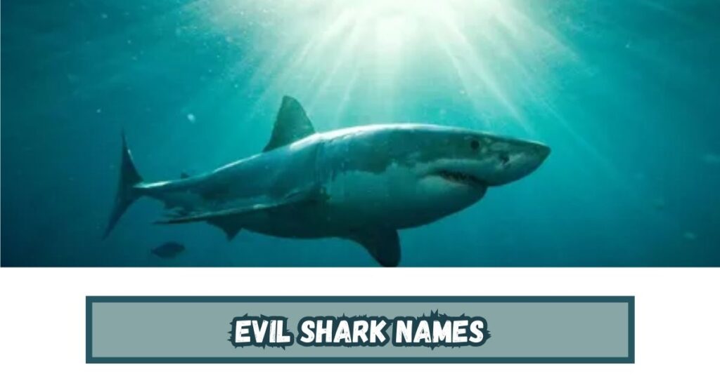 Evil Shark Names