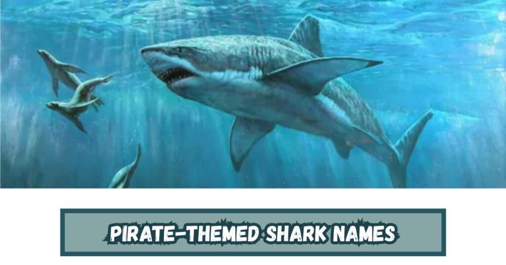 Pirate-Themed Shark Names