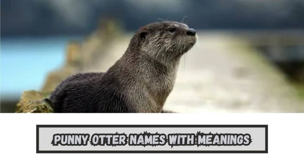 Punny Otter Names with Meanings