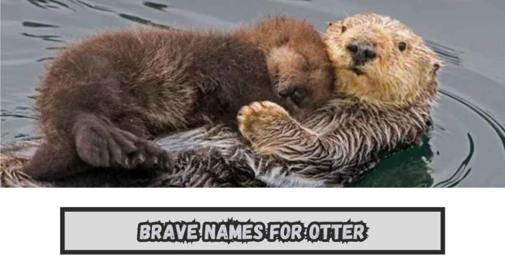 Brave Names for Otter