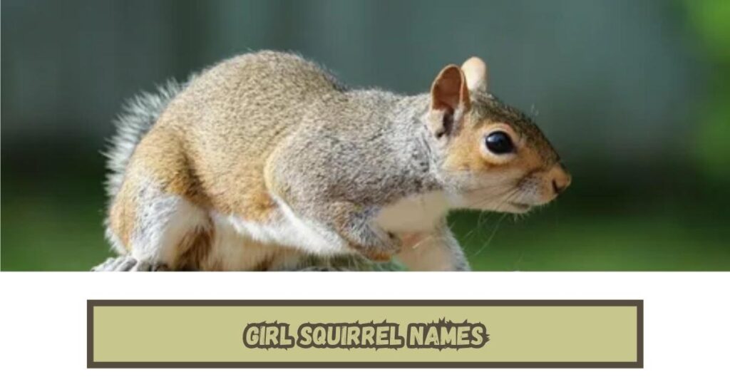 Girl Squirrel Names
