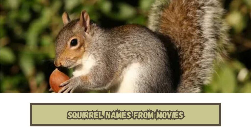 Squirrel Names from Movies