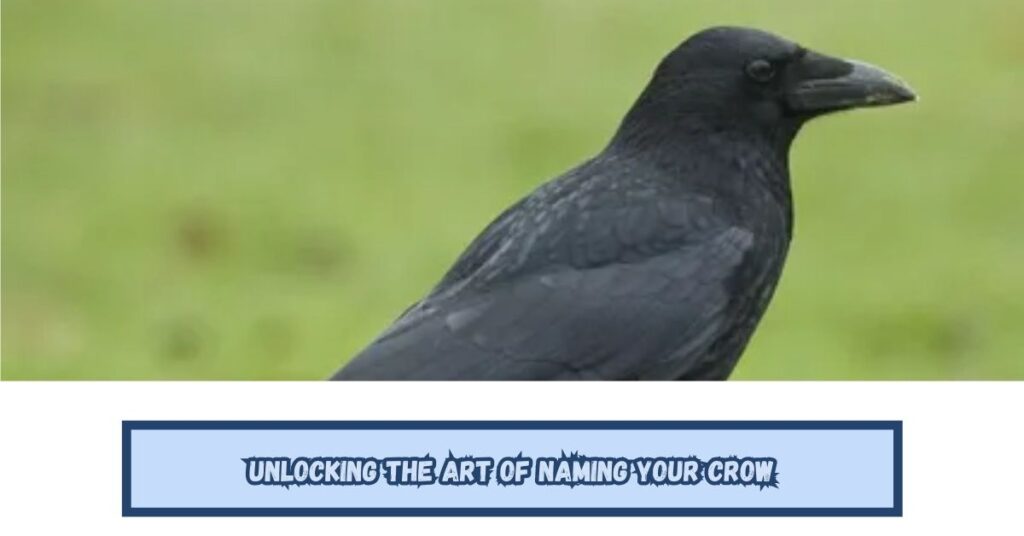Unlocking the Art of Naming Your Crow