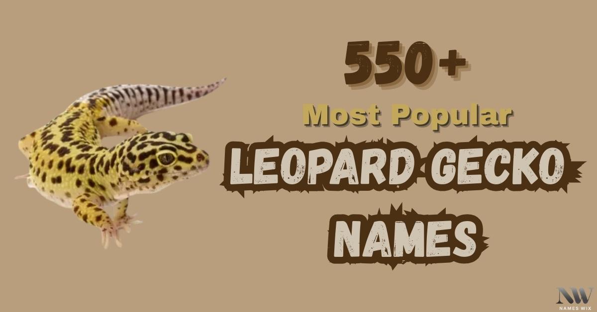 Leopard Gecko Names